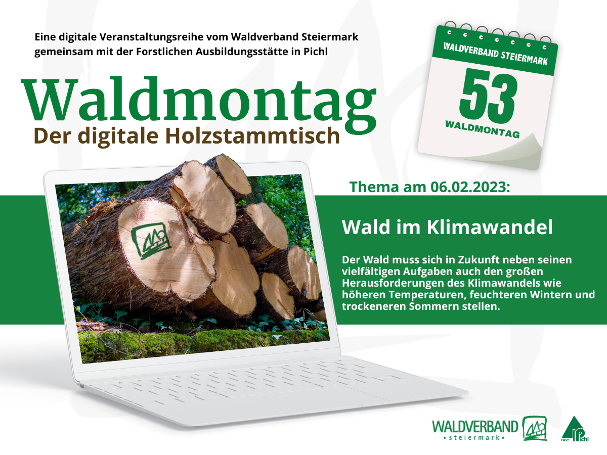 53 IN - 1200x900 Waldmontag (1)