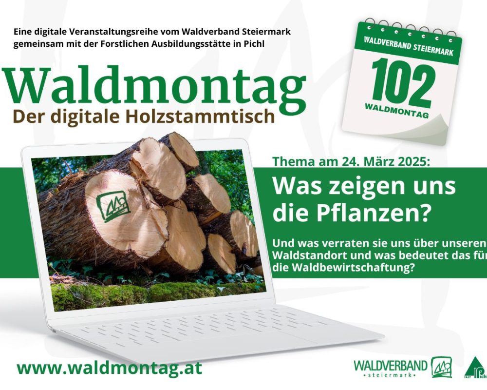 102_IN - 1200x900 Waldmontag (1)