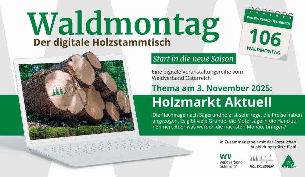 106_169 - Waldverband 2025