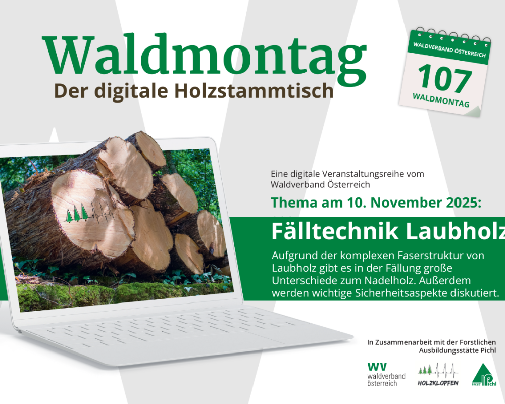 107_1200 x 900 - Waldmontag 2025