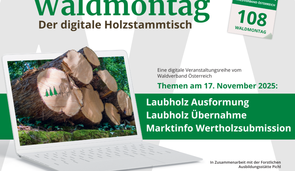 108_1200 x 900 - Waldmontag 2025