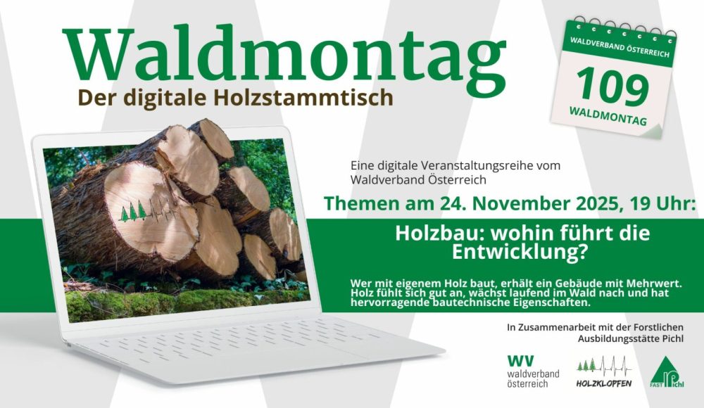 109_169 - Waldmontag 2025