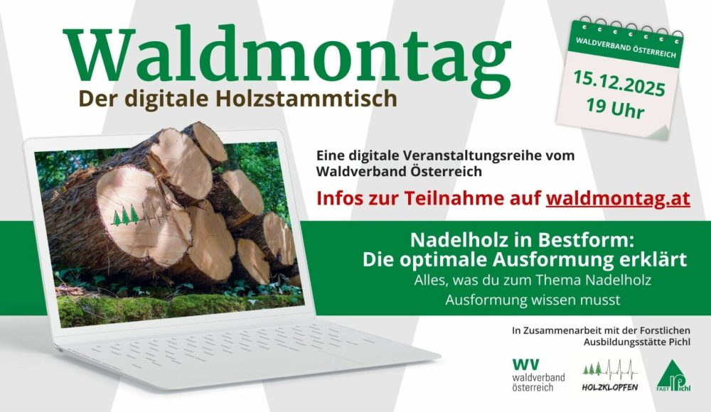 111_169 - Waldmontag 2025