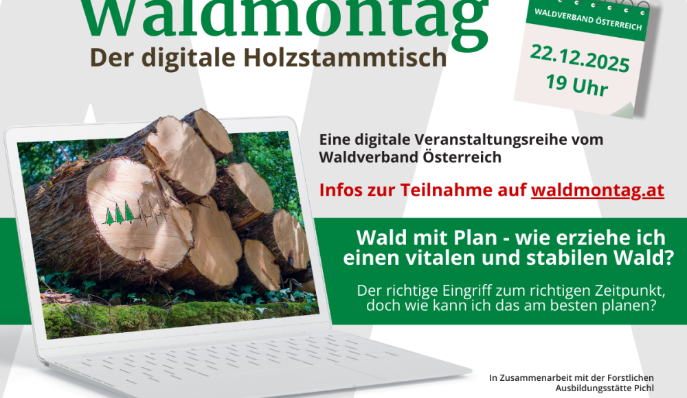 112_1200 x 900 - Waldmontag 2025