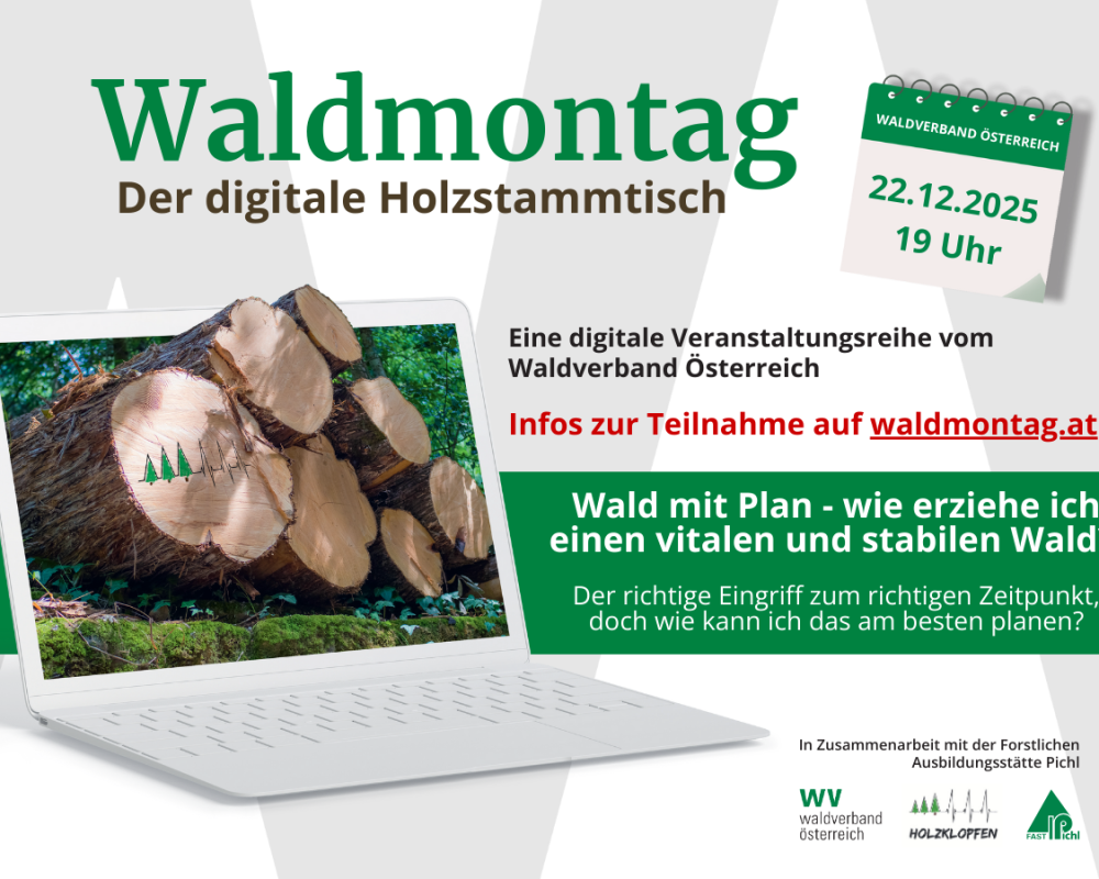 112_1200 x 900 - Waldmontag 2025