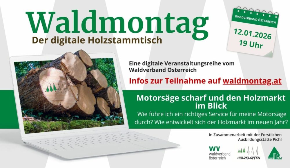 113_169 - Waldmontag 2025 (2)