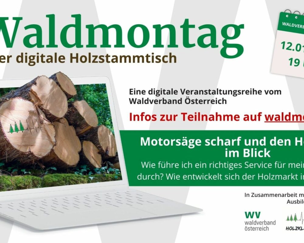 113_169 - Waldmontag 2025 (2)