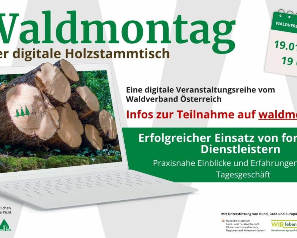 114_169 - Waldmontag 2025