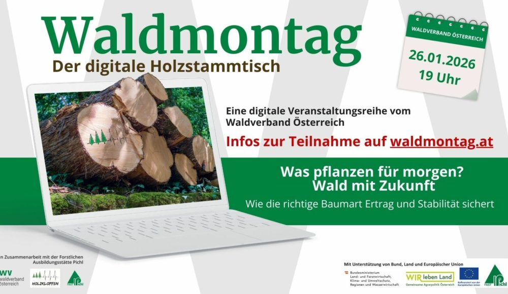 115_169 - Waldmontag 2026