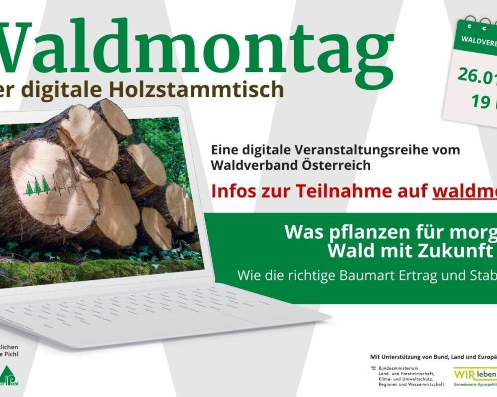 115_169 - Waldmontag 2026