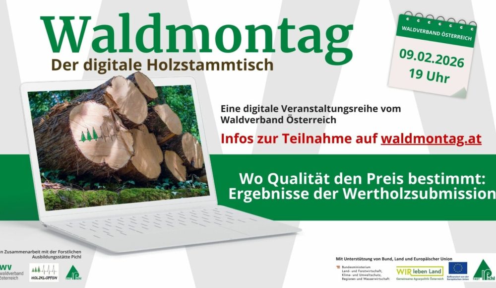 117_169 - Waldmontag 2026