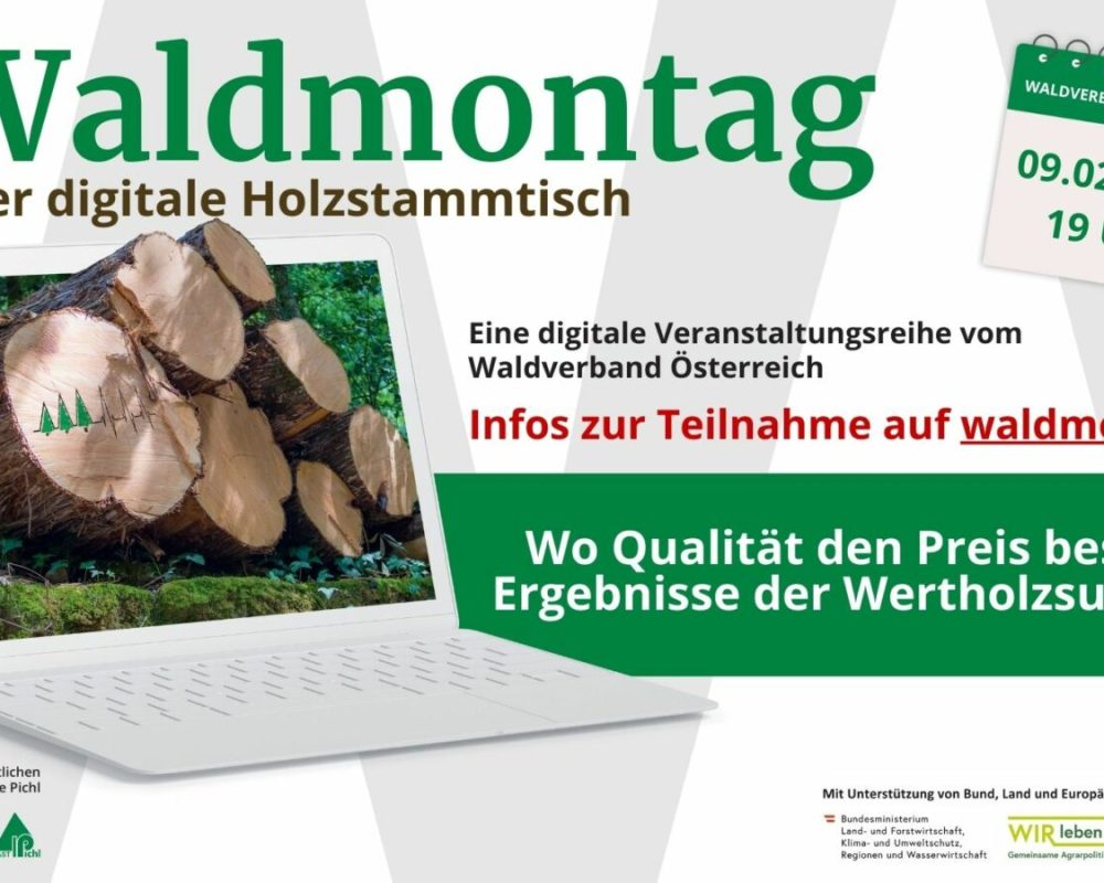 117_169 - Waldmontag 2026