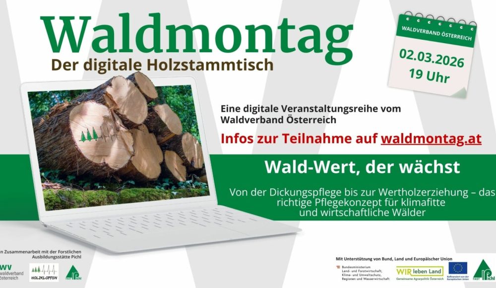 120_169 - Waldmontag 2026