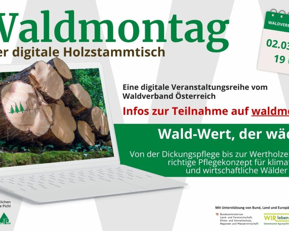 120_169 - Waldmontag 2026