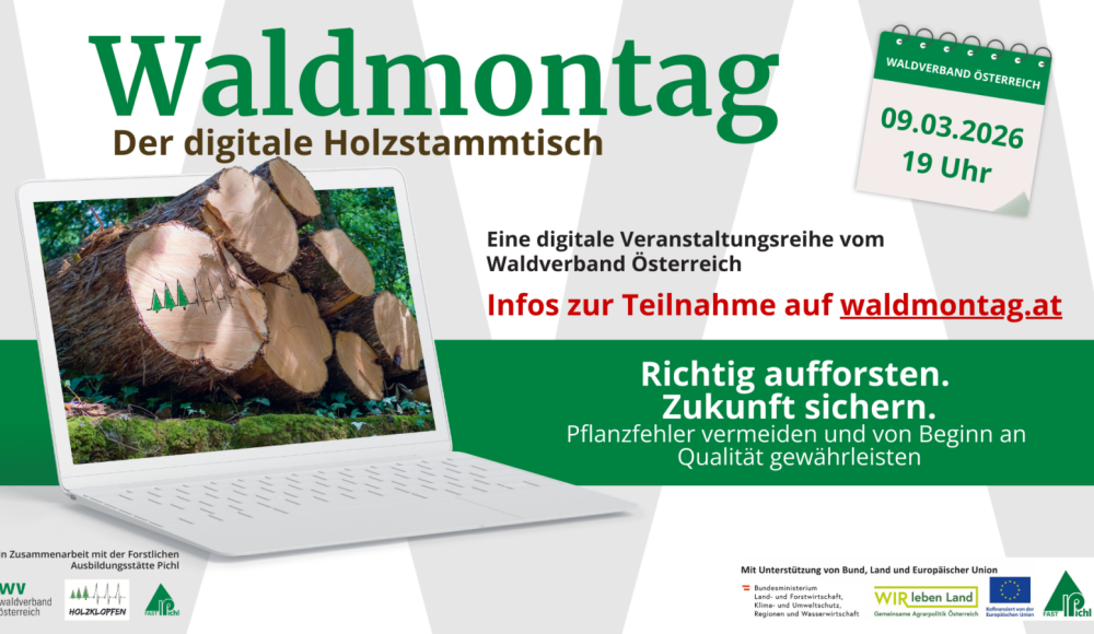 121_169 - Waldmontag 2026