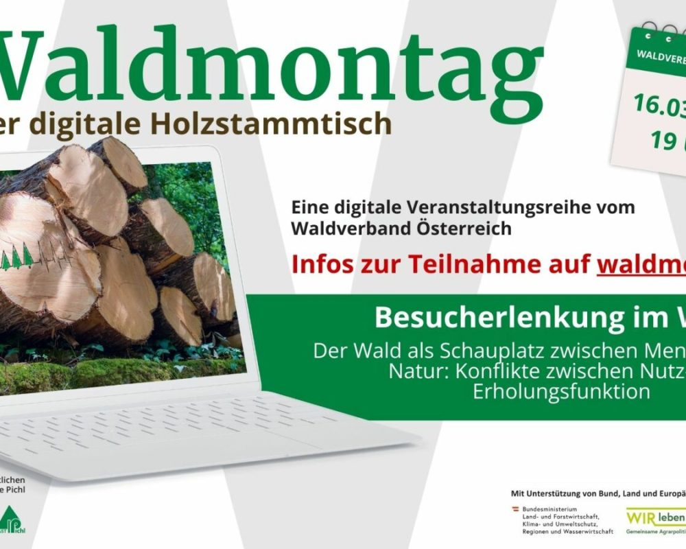 122_169 - Waldmontag 2026 (3)