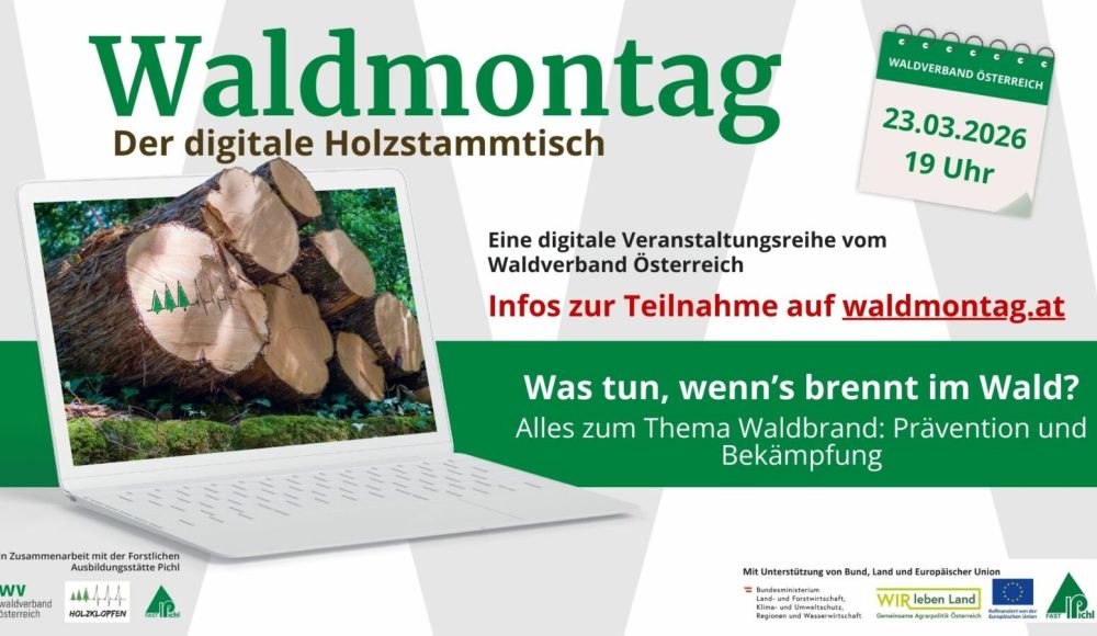 123_169 - Waldmontag 2026