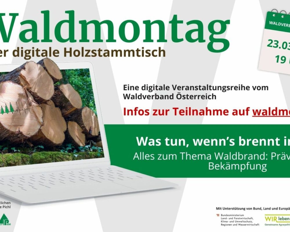 123_169 - Waldmontag 2026