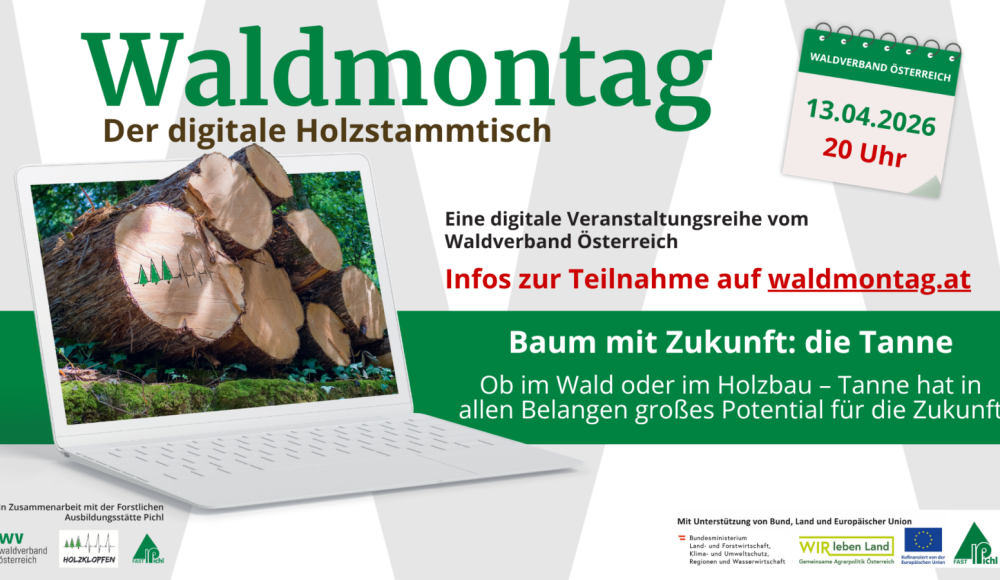 124_169 - Waldmontag 2026