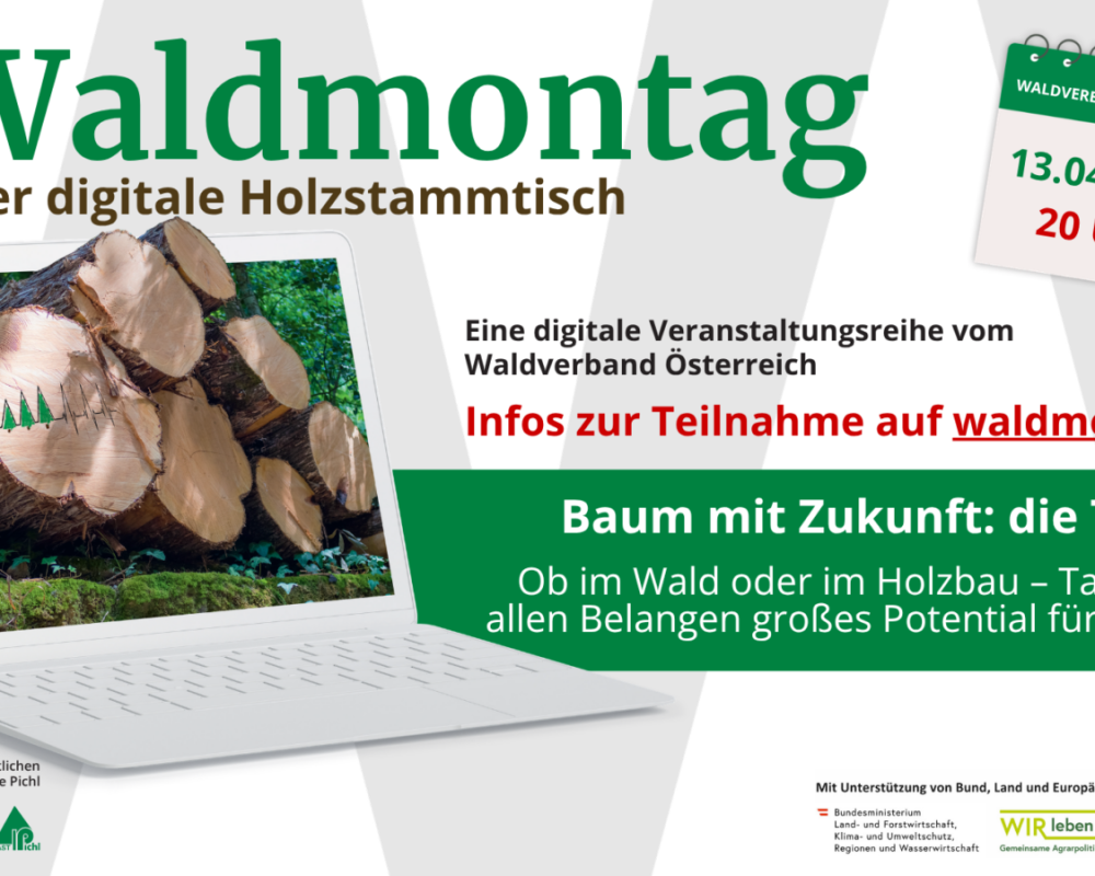 124_169 - Waldmontag 2026