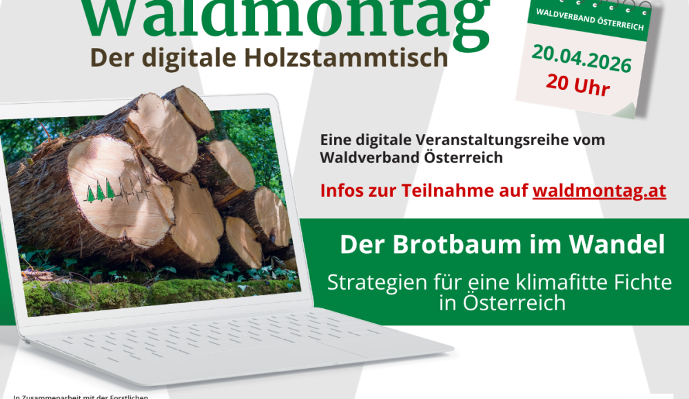 125_1200 x 900 - Waldmontag 2026 (1)