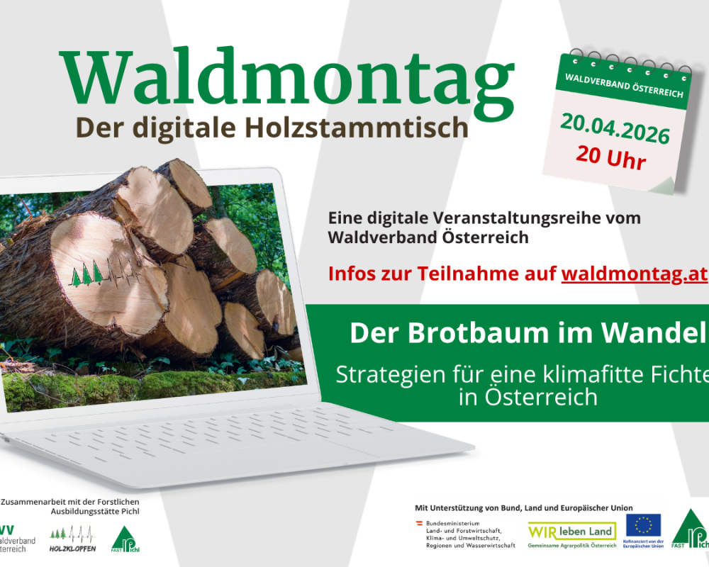 125_1200 x 900 - Waldmontag 2026 (1)