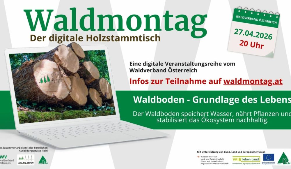 126_169 - Waldmontag 2026 (2)