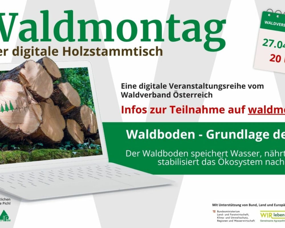 126_169 - Waldmontag 2026 (2)