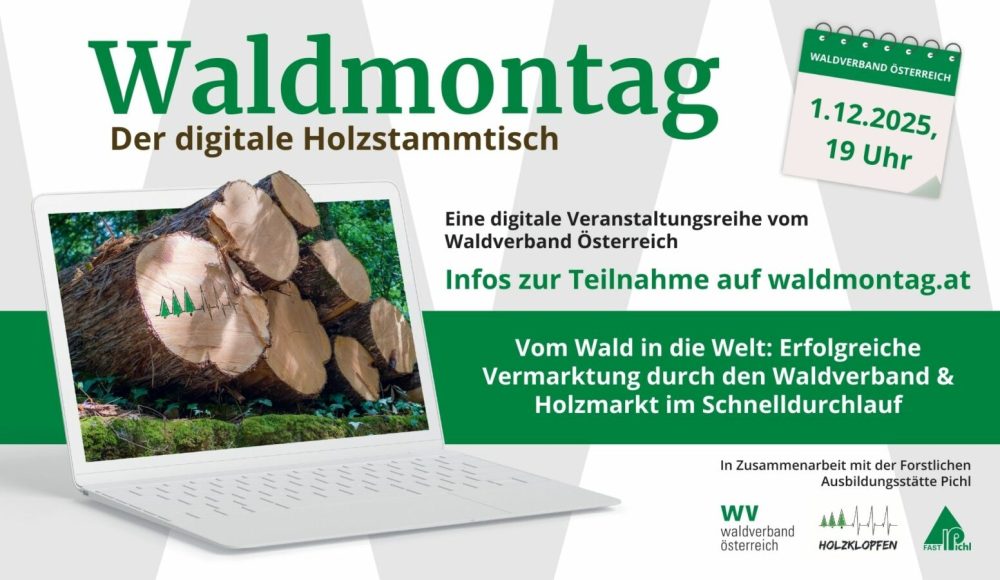 1_110_169 - Waldmontag 2025