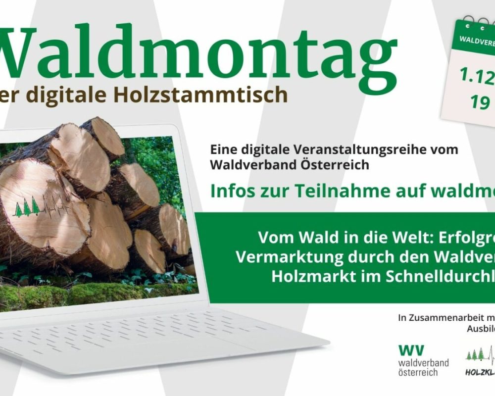 1_110_169 - Waldmontag 2025