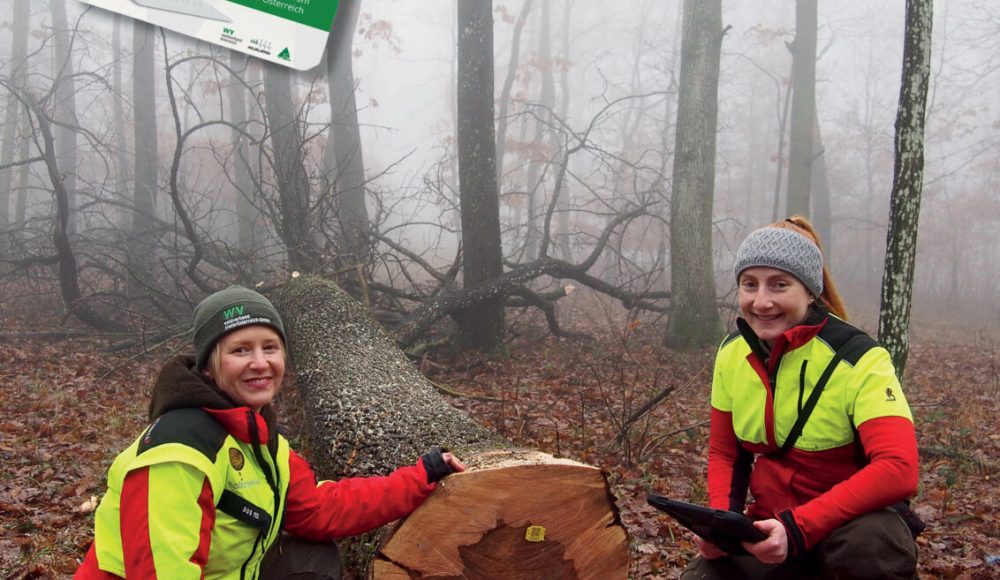 260115_WV aktuell_Stmk_Titelseite