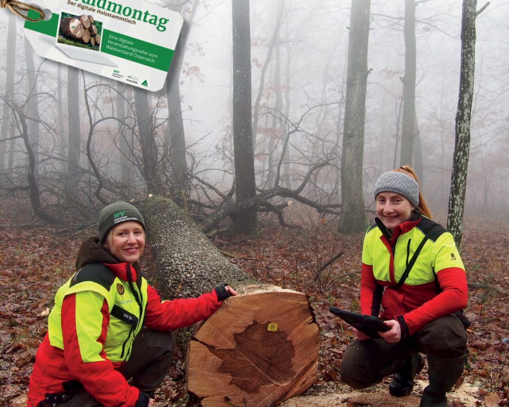 260115_WV aktuell_Stmk_Titelseite