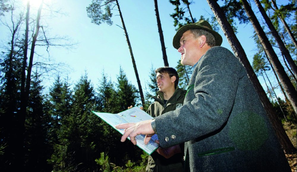 Cmyk_Titelfoto_Praxisplan_Wald