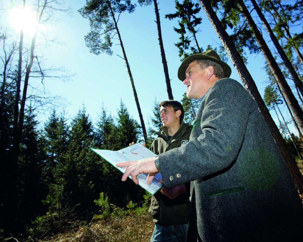 Cmyk_Titelfoto_Praxisplan_Wald