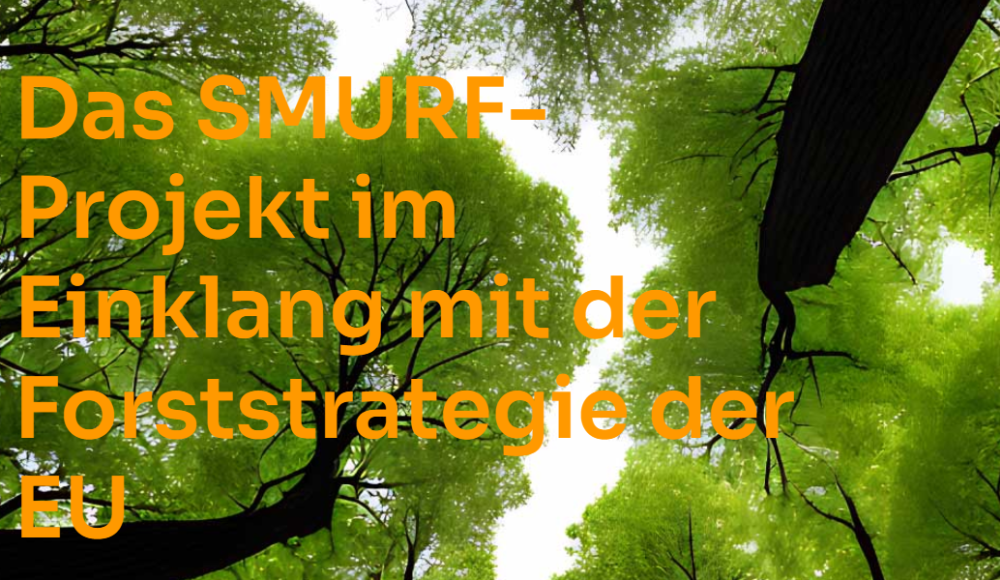 EU Forststrategie