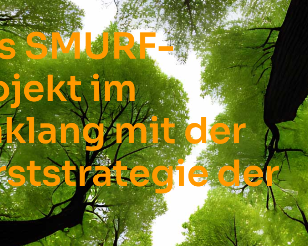 EU Forststrategie