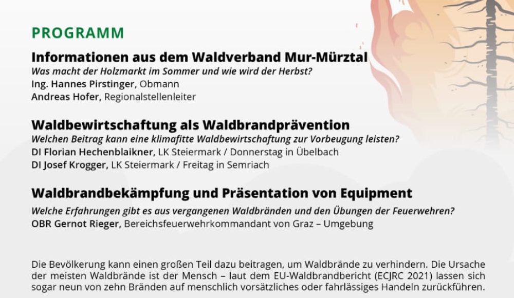 Waldbrand