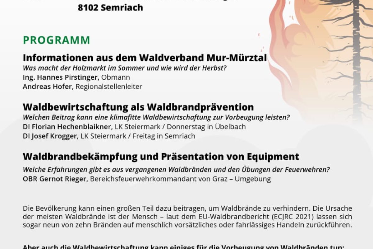 Waldbrand