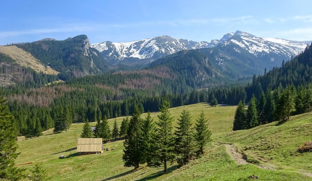 polana-kalatowki-7958161_1280