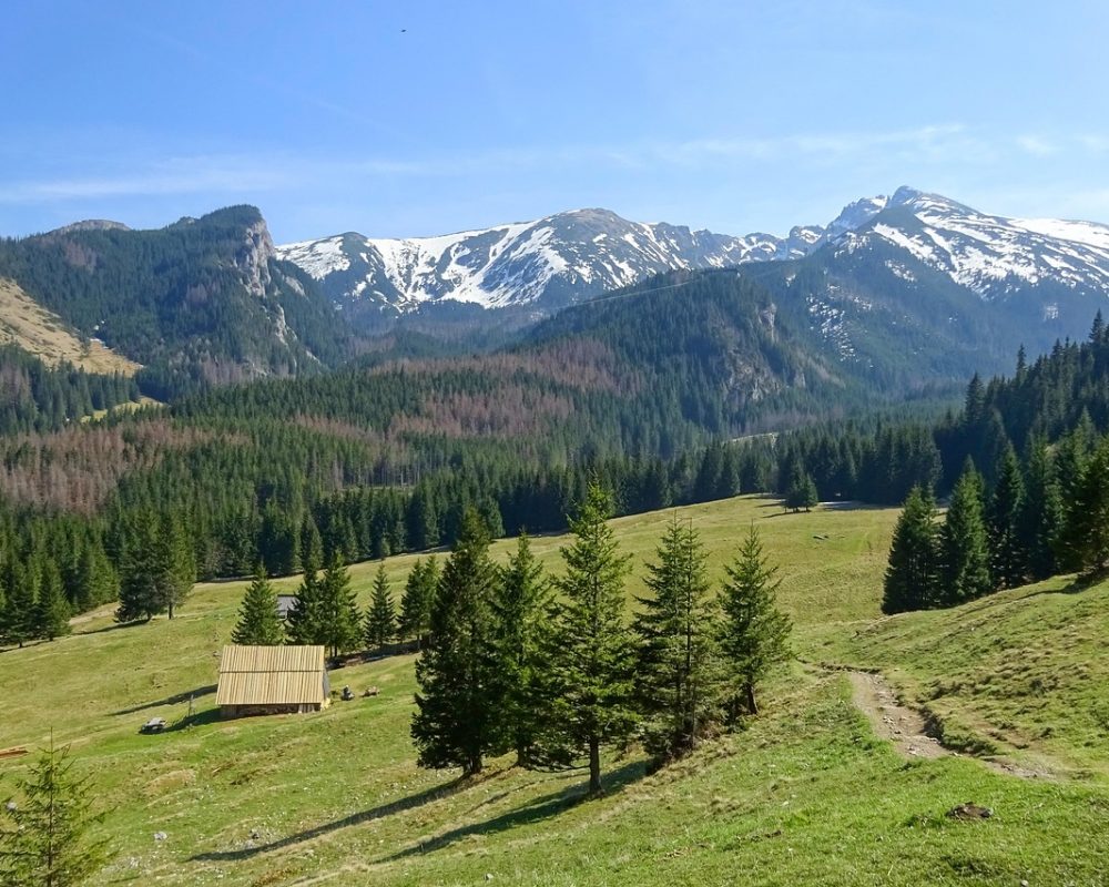 polana-kalatowki-7958161_1280