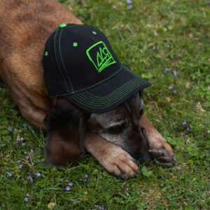 Kappe Waldverband
